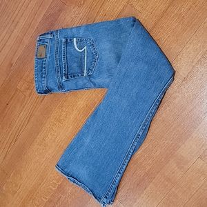 American Eagle Artist Jeans Size 4 Short